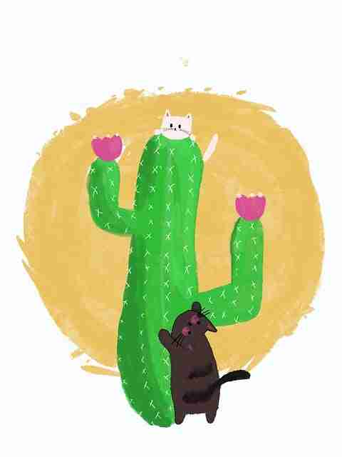 暗网禁地节点更新速览｜内容过滤机制解构用户涌入创新高  第2张