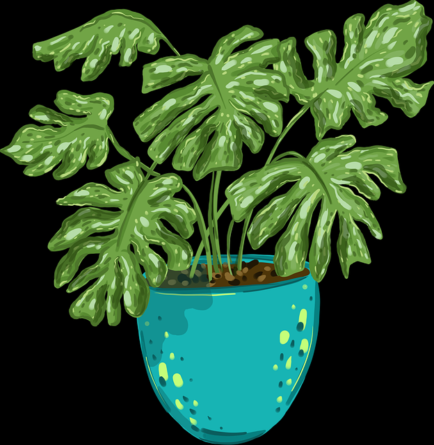 只有粉丝官网爆款内容指南｜视觉内容表达趋势引领订阅风潮