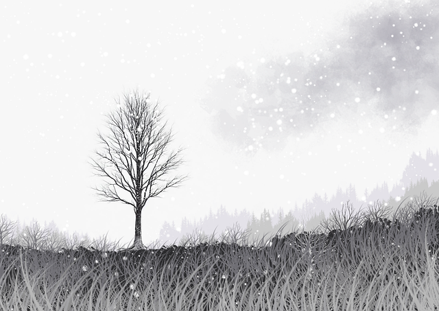 妻社系列内容突破以往|日常摩擦还原展示边界之美