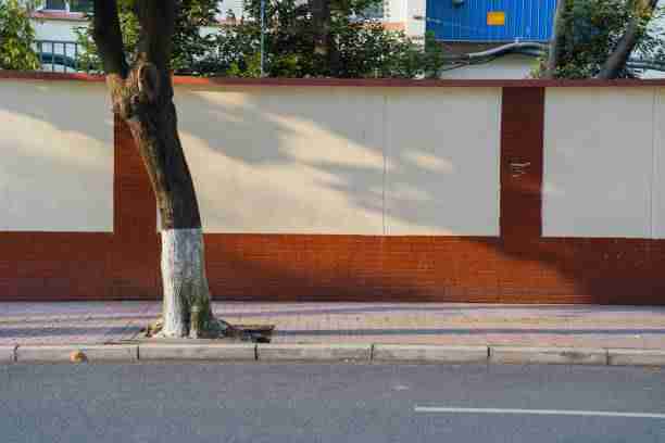 好色先生tv剧情情绪层次剖析｜两性表达探索呈现高级表达