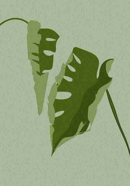 鉴黄师官网入口经验分享合集|职业伦理困境现场判断案例揭秘