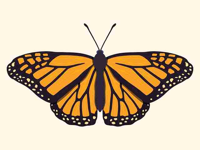 onlyfnas访问路径优化｜互动率提升方案用户体验大提升